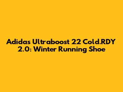 Adidas Ultraboost 22 Cold.RDY 2.0: Winter Running Shoe
