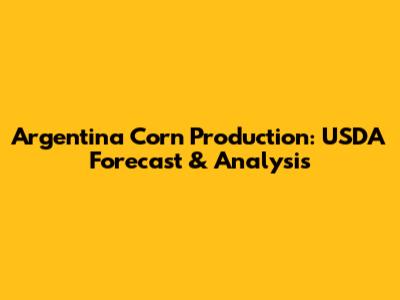 Argentina Corn Production: USDA Forecast & Analysis
