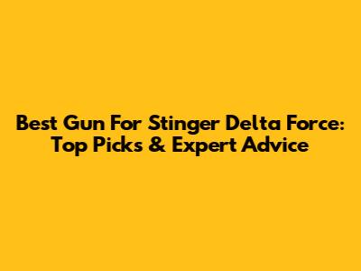 Best Gun For Stinger Delta Force: Top Picks & Expert Advice