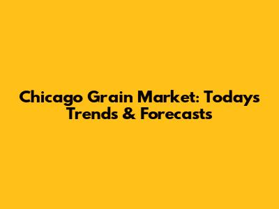 Chicago Grain Market: Today's Trends & Forecasts
