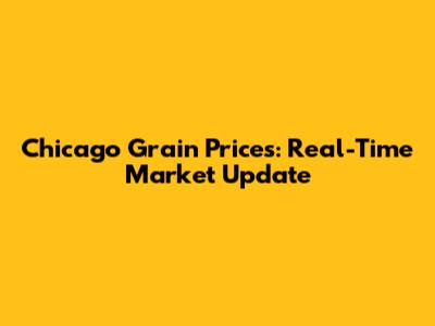 Chicago Grain Prices: Real-Time Market Update