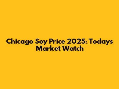 Chicago Soy Price 2025: Today's Market Watch