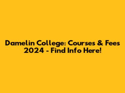 Damelin College: Courses & Fees 2024 - Find Info Here!
