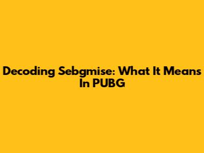 Decoding "Sebgmise": What It Means In PUBG