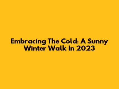 Embracing The Cold: A Sunny Winter Walk In 2023