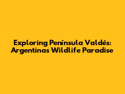 Exploring Península Valdés: Argentina's Wildlife Paradise