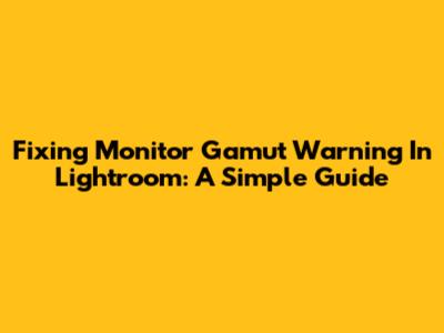Fixing Monitor Gamut Warning In Lightroom: A Simple Guide