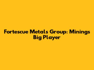 Fortescue Metals Group: Mining's Big Player