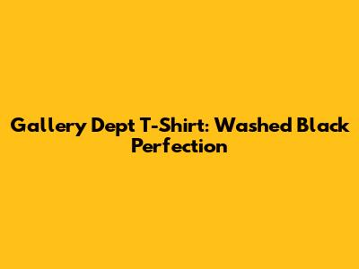 Gallery Dept T-Shirt: Washed Black Perfection