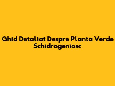 Ghid Detaliat Despre Planta Verde Schidrogeniosc