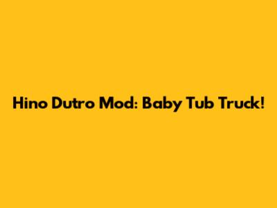 Hino Dutro Mod: Baby Tub Truck!