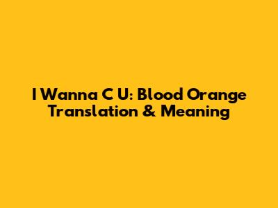 I Wanna C U: Blood Orange Translation & Meaning