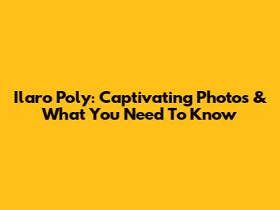 Ilaro Poly: Captivating Photos & What You Need To Know