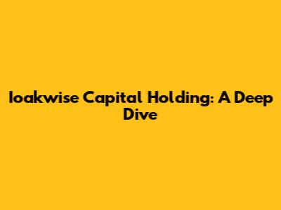 Ioakwise Capital Holding: A Deep Dive