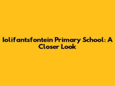 Iolifantsfontein Primary School: A Closer Look