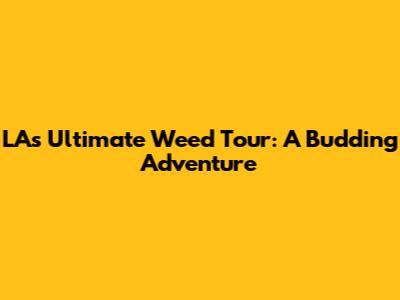 LA's Ultimate Weed Tour: A Budding Adventure