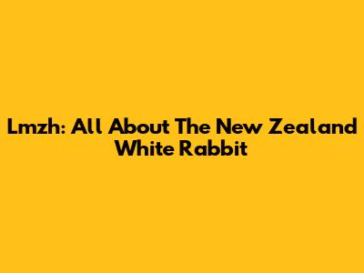 Lmzh: All About The New Zealand White Rabbit