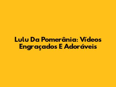 Lulu Da Pomerânia: Vídeos Engraçados E Adoráveis