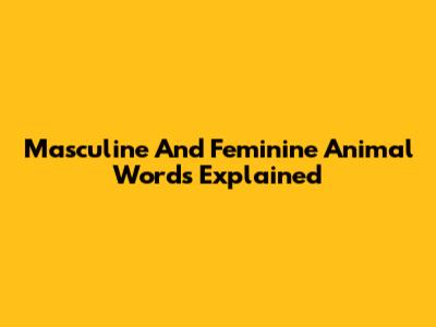 Masculine And Feminine Animal Words Explained