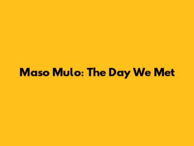Maso Mulo: The Day We Met