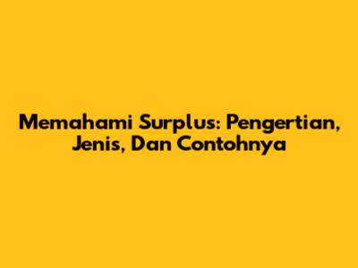 Memahami Surplus: Pengertian, Jenis, Dan Contohnya