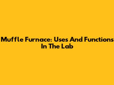 Muffle Furnace: Uses And Functions In The Lab