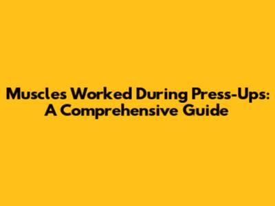 Muscles Worked During Press-Ups: A Comprehensive Guide