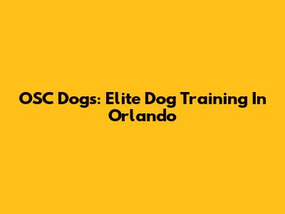 OSC Dogs: Elite Dog Training In Orlando