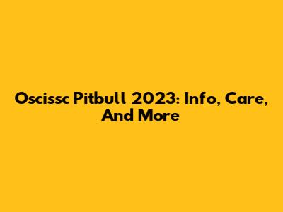 Oscissc Pitbull 2023: Info, Care, And More