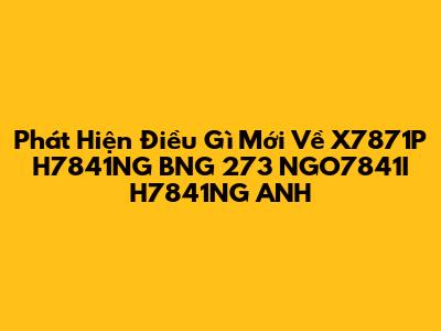 Phát Hiện Điều Gì Mới Về X7871P H7841NG BNG 273 NGO7841I H7841NG ANH