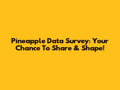 Pineapple Data Survey: Your Chance To Share & Shape!