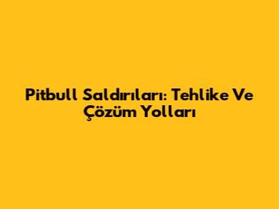 Pitbull Saldırıları: Tehlike Ve Çözüm Yolları