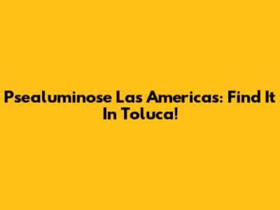 Psealuminose Las Americas: Find It In Toluca!
