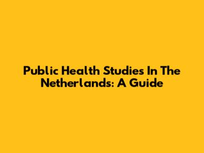 Public Health Studies In The Netherlands: A Guide
