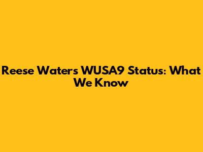 Reese Waters' WUSA9 Status: What We Know