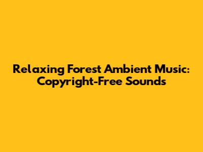 Relaxing Forest Ambient Music: Copyright-Free Sounds
