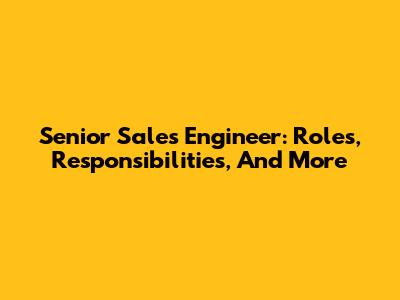 Senior Sales Engineer: Roles, Responsibilities, And More