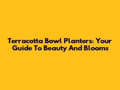 Terracotta Bowl Planters: Your Guide To Beauty And Blooms