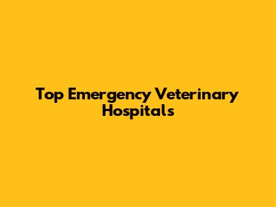 Top Emergency Veterinary Hospitals