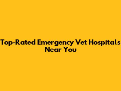 Top-Rated Emergency Vet Hospitals Near You
