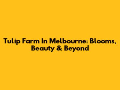 Tulip Farm In Melbourne: Blooms, Beauty & Beyond