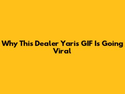 Why This Dealer Yaris GIF Is Going Viral