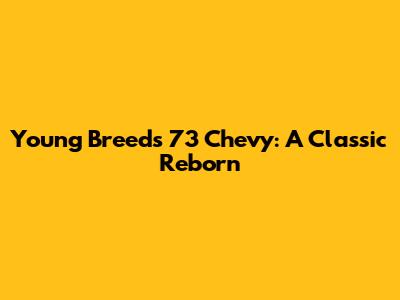 Young Breed's '73 Chevy: A Classic Reborn
