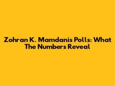Zohran K. Mamdani's Polls: What The Numbers Reveal